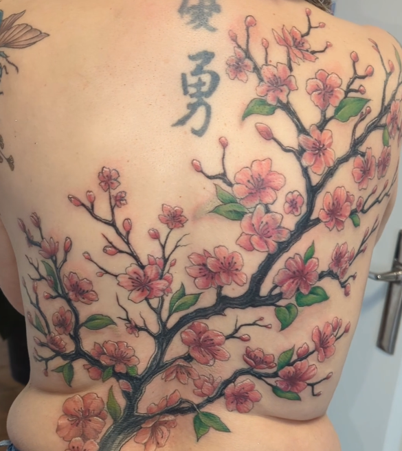 Cerisier en fleurs