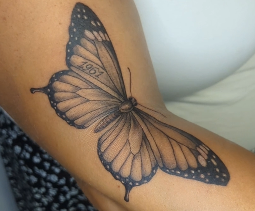 Papillon